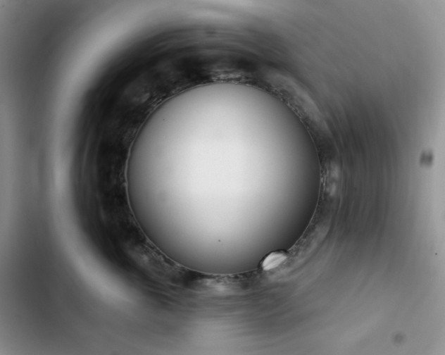 X0000102850763200808251202