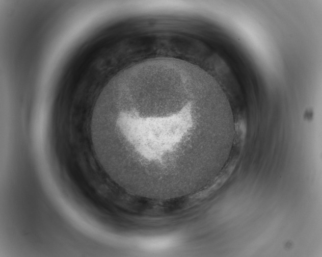 X0000102850765200808251202