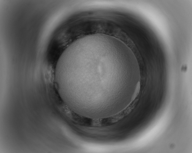 X0000102850766200808251202