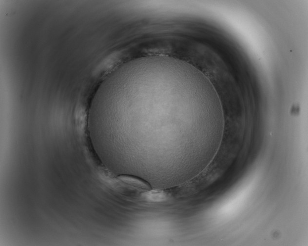 X0000102850767200808251202