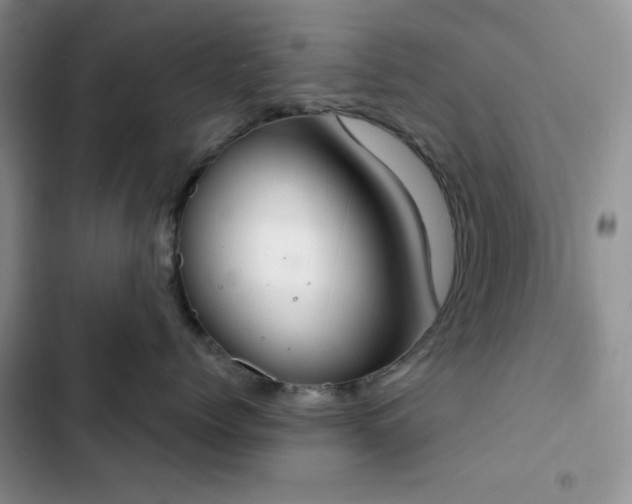 X0000102850768200808251202