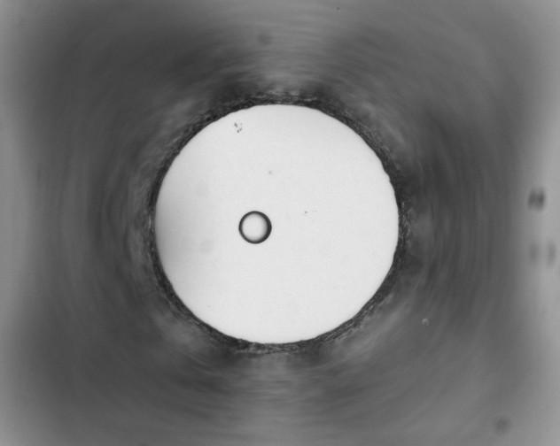 X0000102850769200808251202