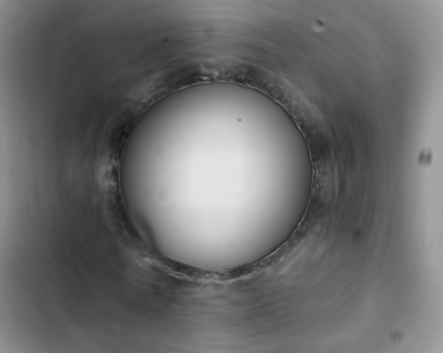 X0000102850770200808251202