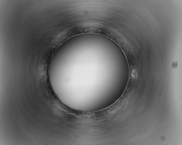 X0000102850771200808251202