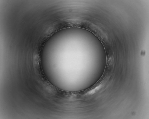 X0000102850772200808251202