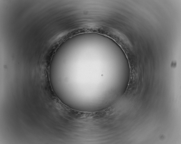 X0000102850773200808251202