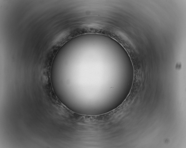 X0000102850774200808251202