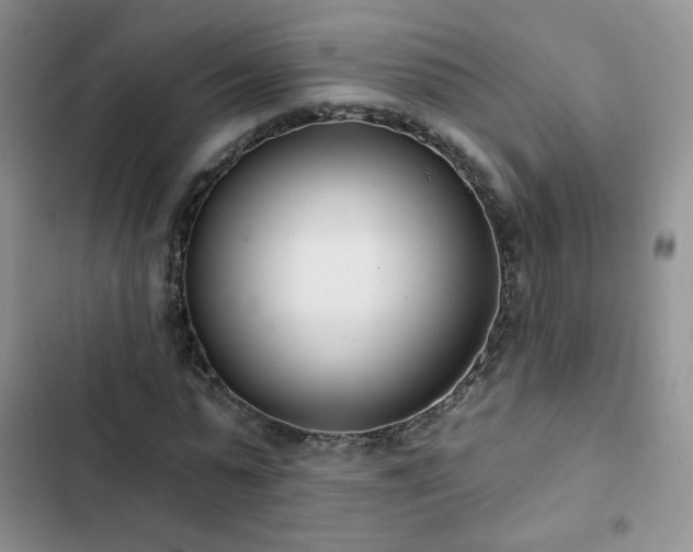 X0000102850775200808251202