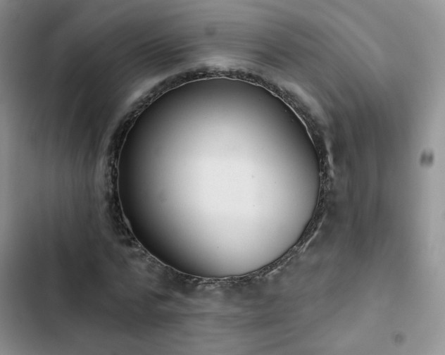 X0000102850776200808251201