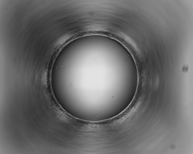 X0000102850777200808251201