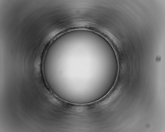 X0000102850778200808251201