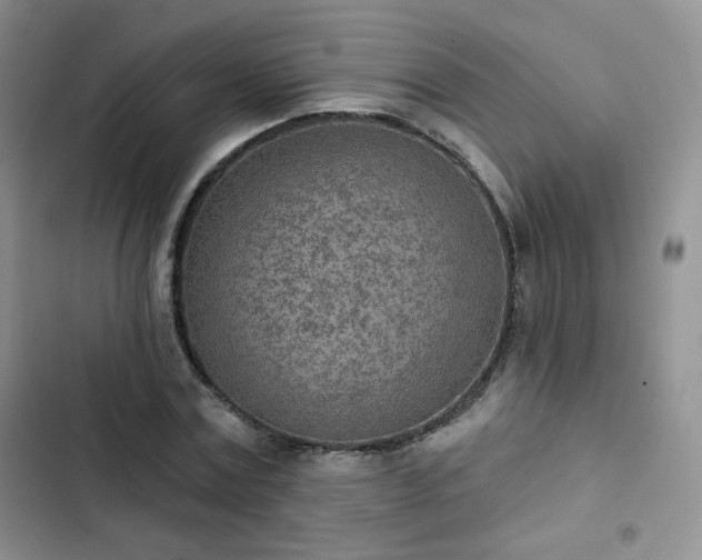 X0000102850779200808251201
