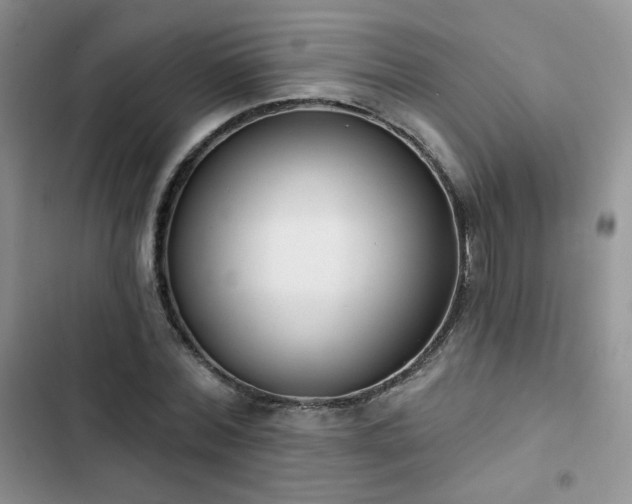 X0000102850780200808251201
