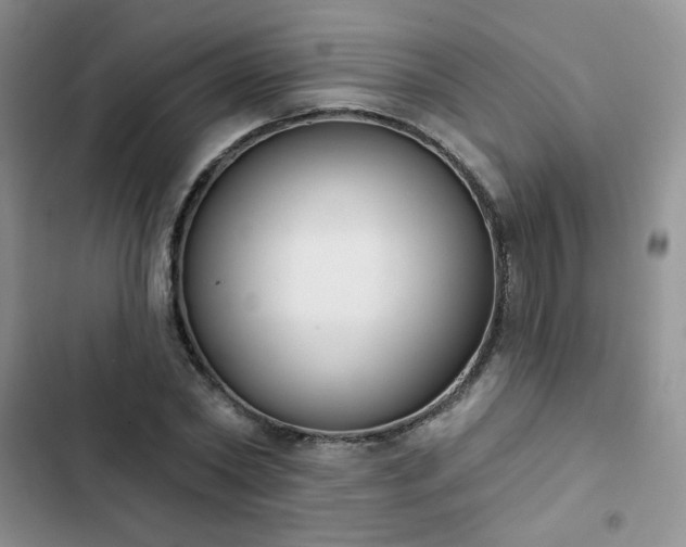 X0000102850782200808251201