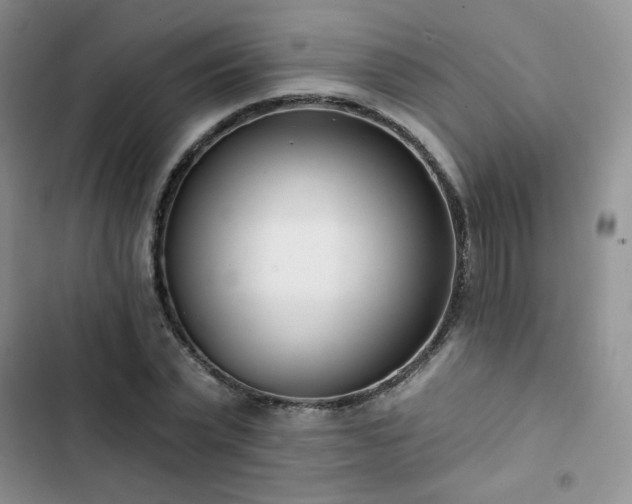 X0000102850783200808251201