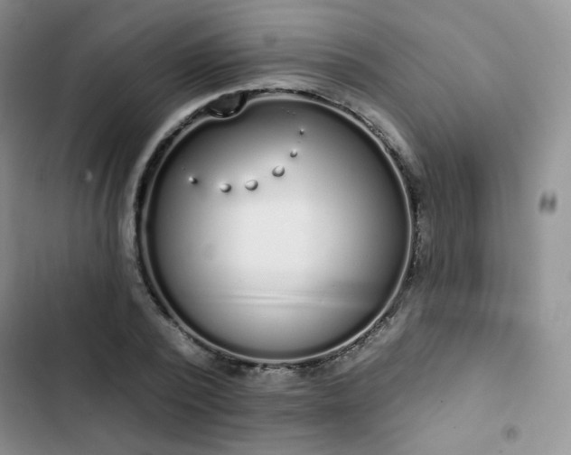 X0000102850784200808251201
