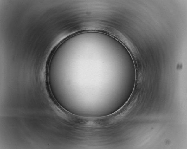 X0000102850787200808251201