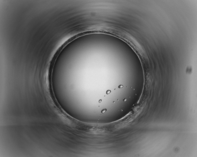 X0000102850788200808251201