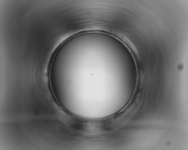 X0000102850789200808251201