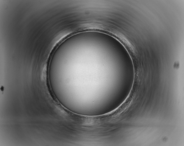 X0000102850790200808251201