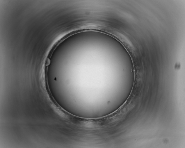 X0000102850792200808251201