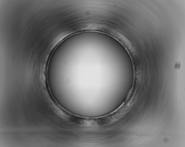 X0000102850794200808251201