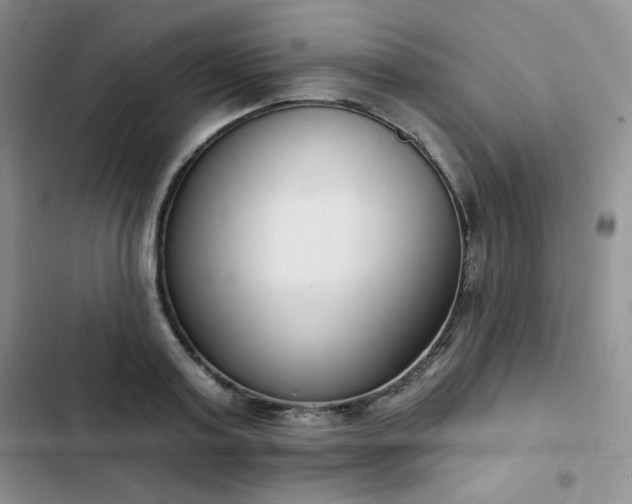 X0000102850795200808251201