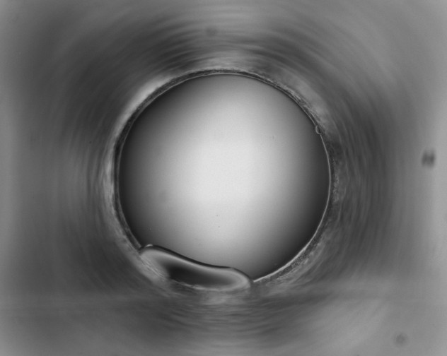 X0000102850796200808251201