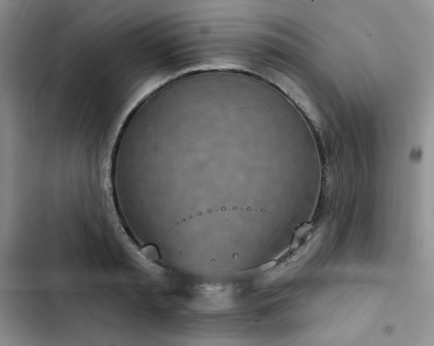 X0000102850797200808251201