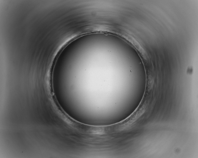 X0000102850798200808251201