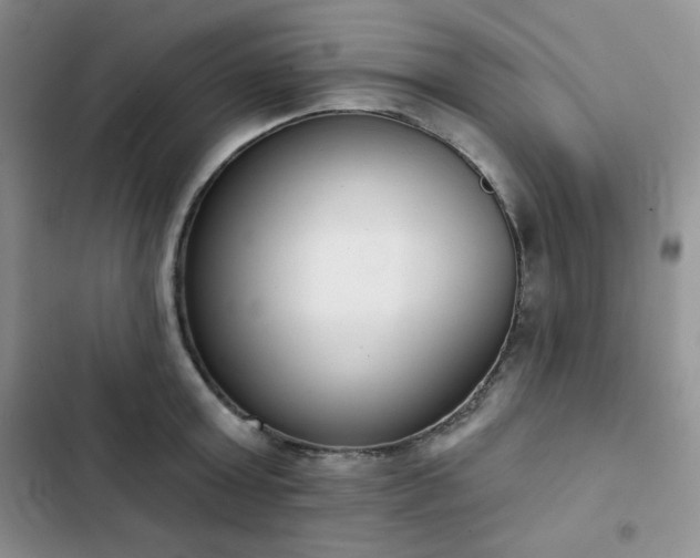 X0000102850803200808251201
