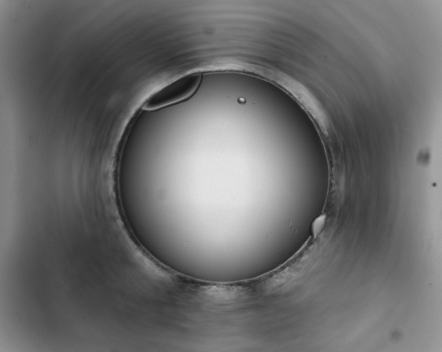 X0000102850805200808251201