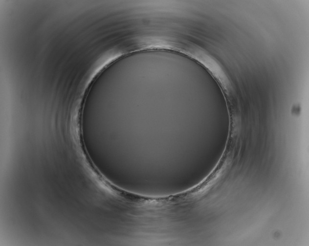 X0000102850806200808251201