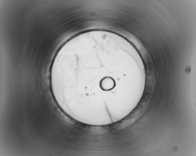 X0000102850807200808251201