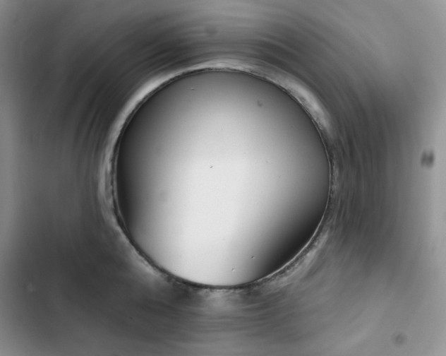X0000102850808200808251201