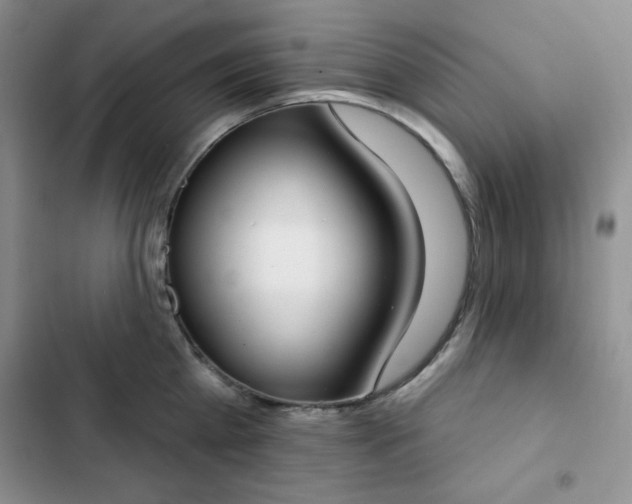 X0000102850809200808251201