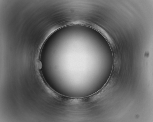 X0000102850810200808251201