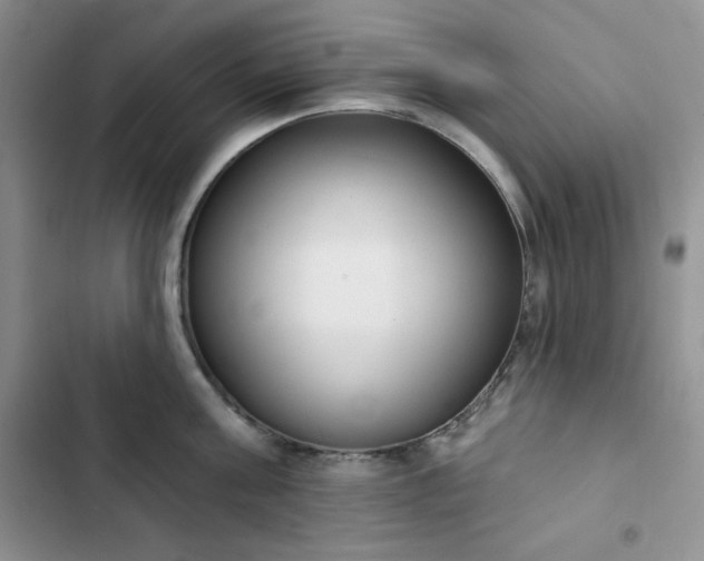 X0000102850811200808251201