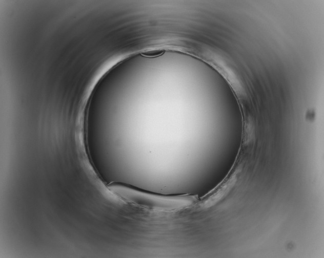 X0000102850812200808251201