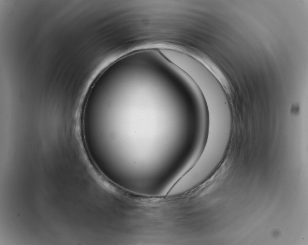 X0000102850813200808251201