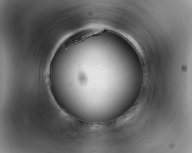 X0000102850815200808251201