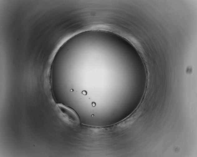 X0000102850816200808251201
