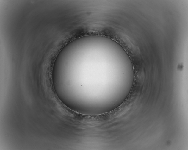 X0000102850817200808251200