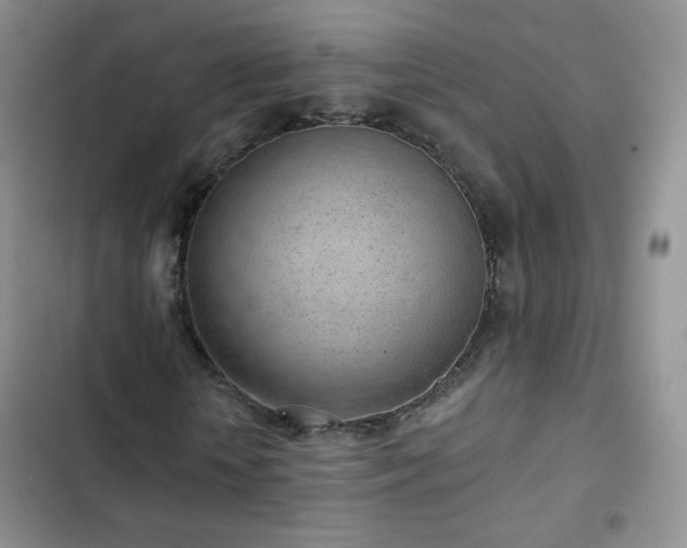 X0000102850818200808251200