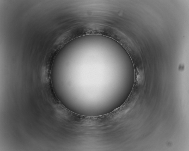 X0000102850819200808251200