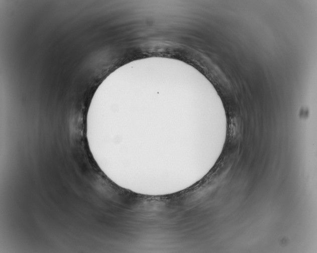 X0000102850820200808251200