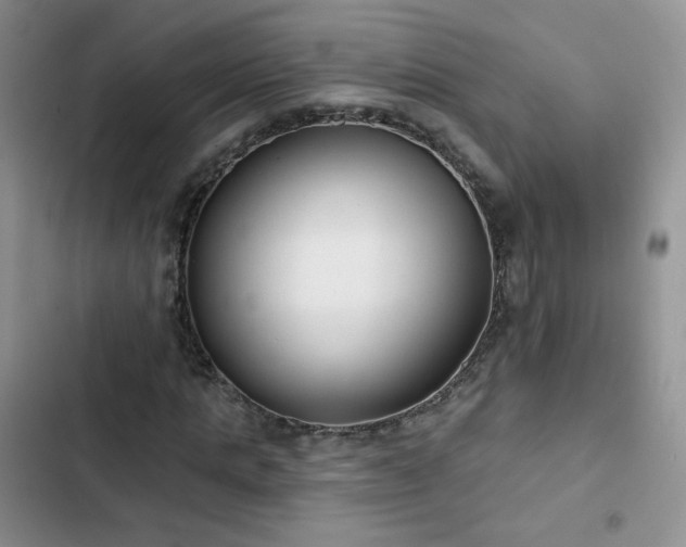X0000102850821200808251200