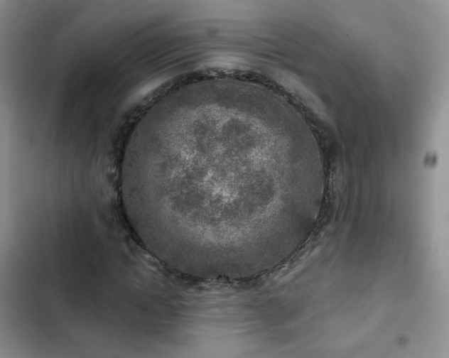 X0000102850822200808251200