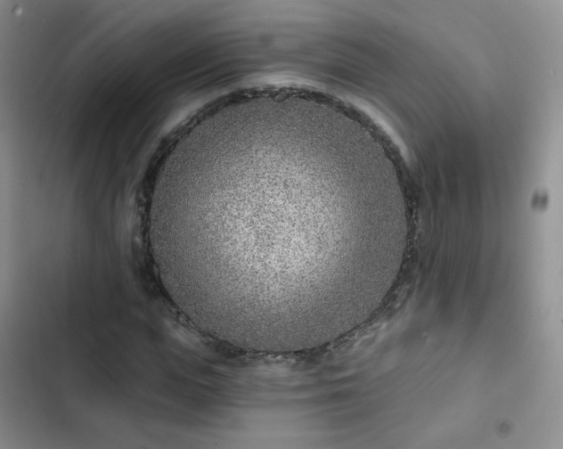 X0000102850823200808251200