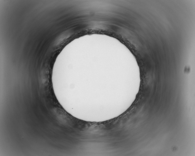 X0000102850824200808251200